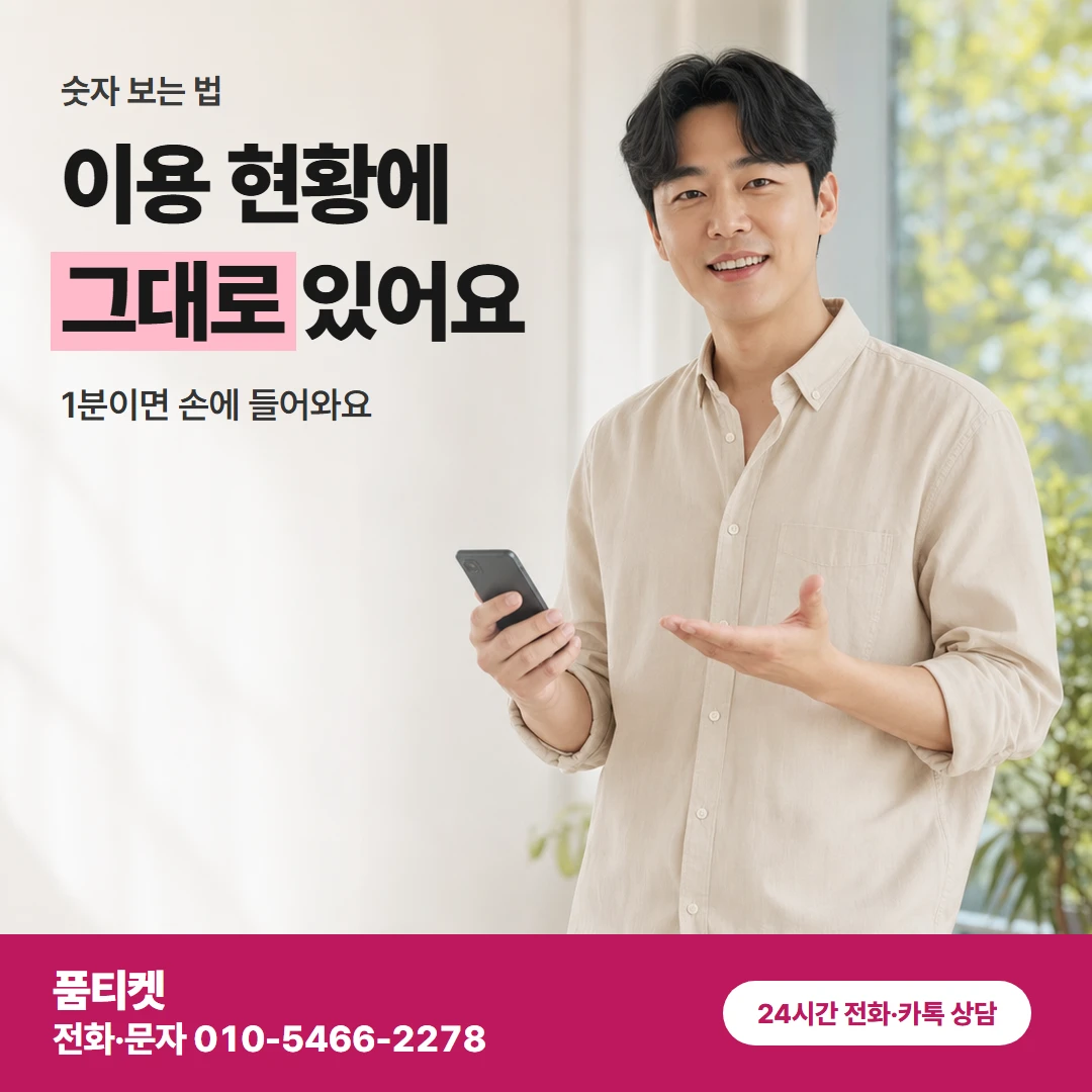KT이용료 한도확인